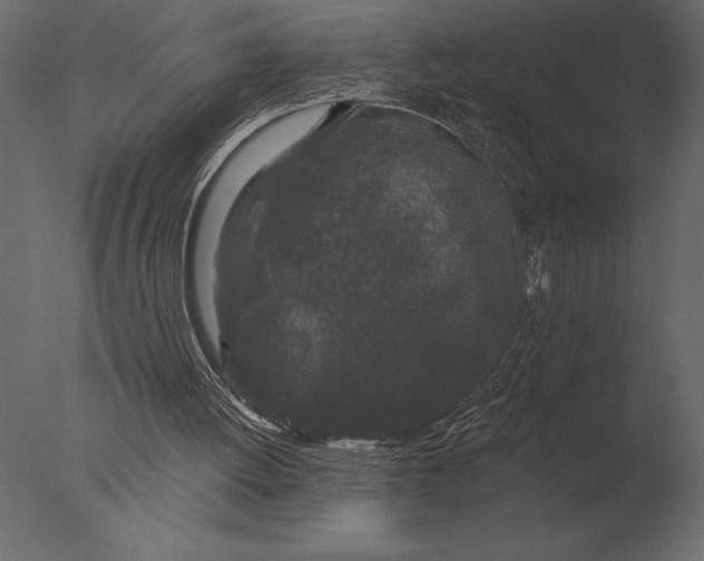 X0000076350052200610201811