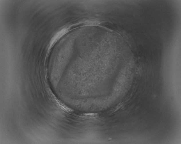 X0000076350053200610201811