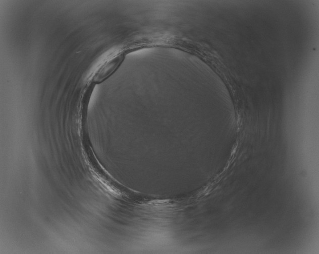 X0000076350054200610201811