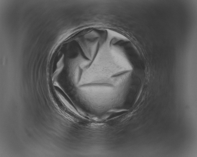 X0000076350055200610201811