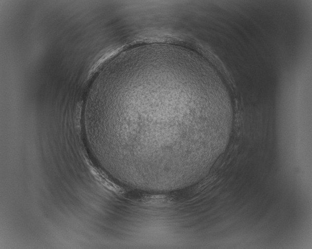 X0000076350058200610201811