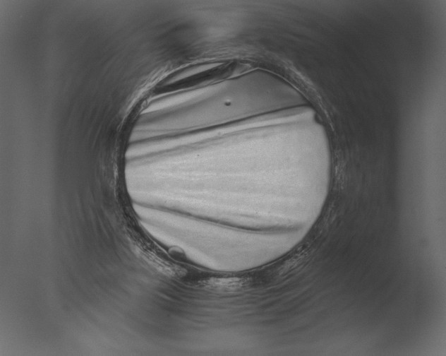 X0000076350059200610201811