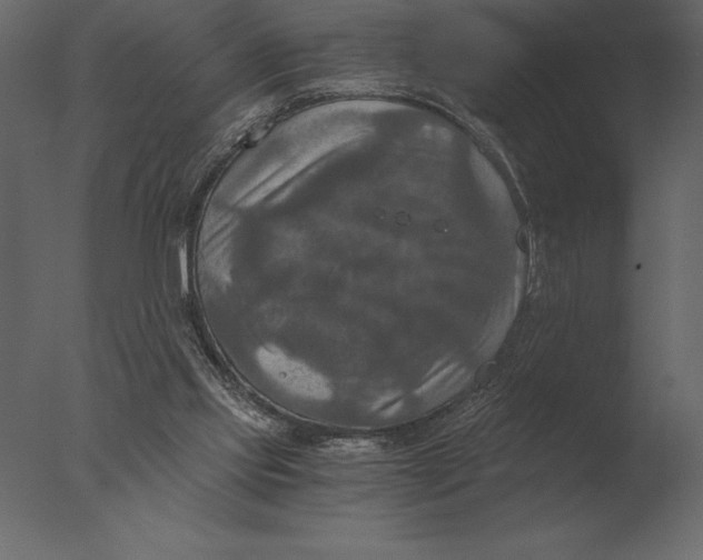 X0000076350061200610201811