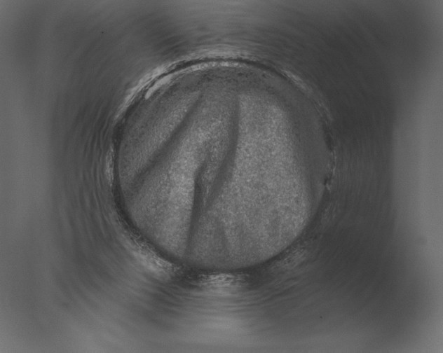 X0000076350064200610201811