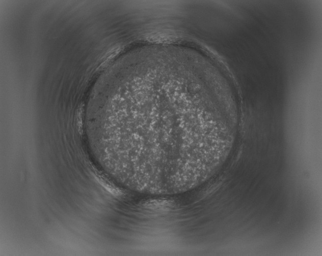 X0000076350065200610201811