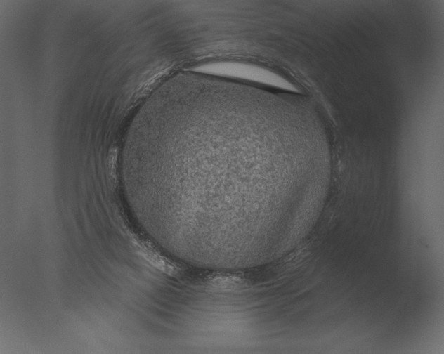 X0000076350066200610201811