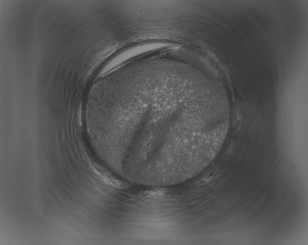 X0000076350068200610201811