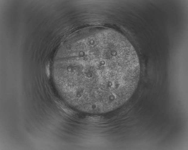 X0000076350069200610201811