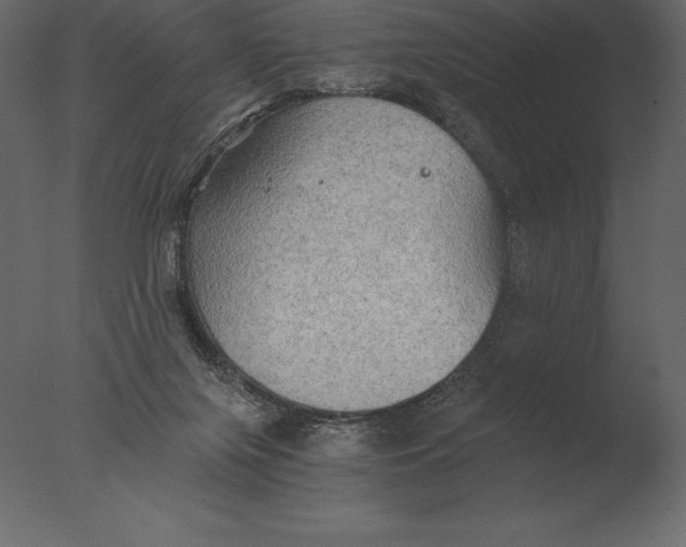 X0000076350071200610201811