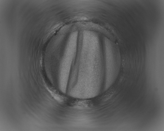 X0000076350072200610201811