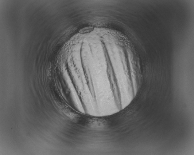 X0000076350073200610201811