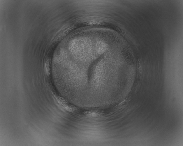 X0000076350074200610201811