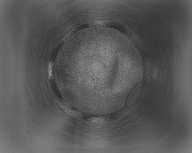 X0000076350075200610201811