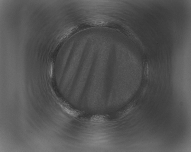 X0000076350076200610201811