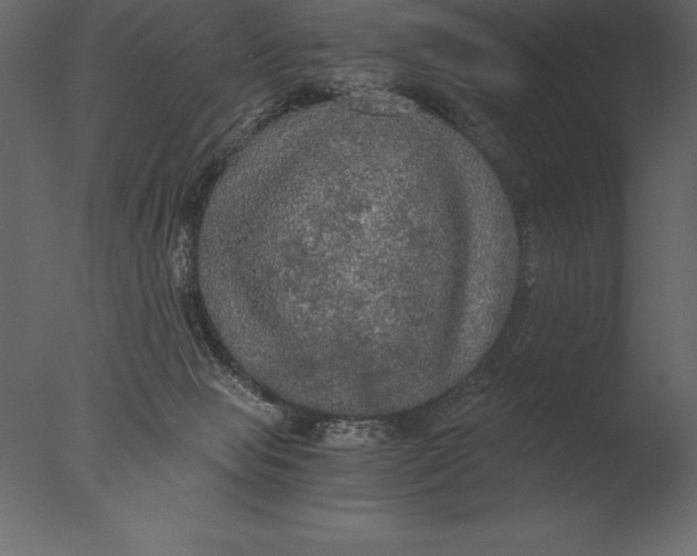 X0000076350077200610201811