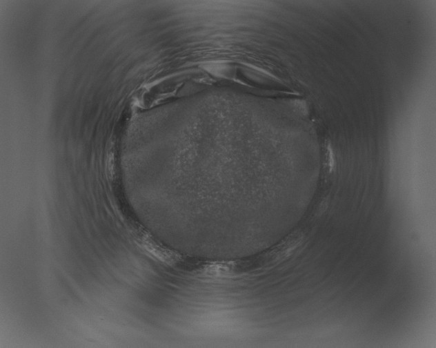 X0000076350080200610201811