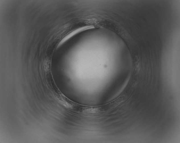 X0000076350081200610201811