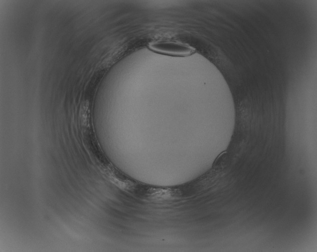 X0000076350083200610201811