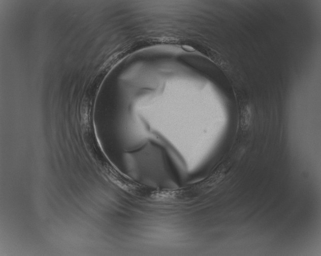 X0000076350084200610201811