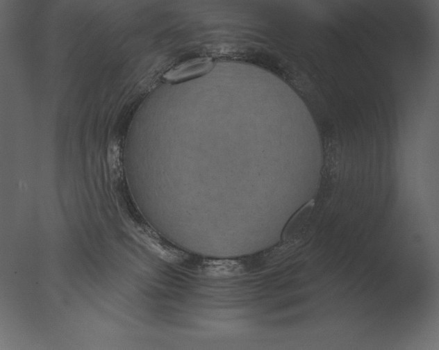 X0000076350087200610201811