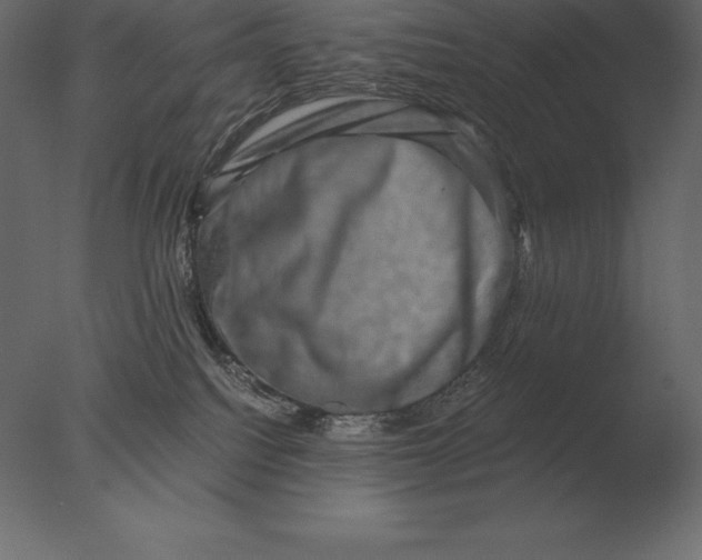 X0000076350088200610201811