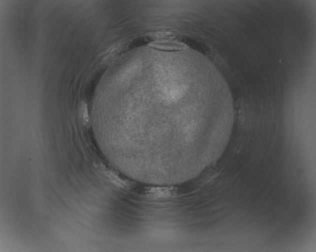 X0000076350089200610201811