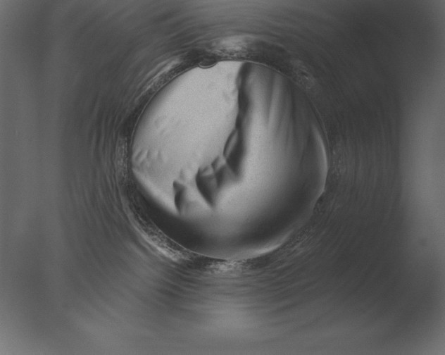 X0000076350092200610201811