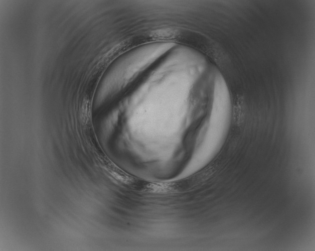 X0000076350093200610201811