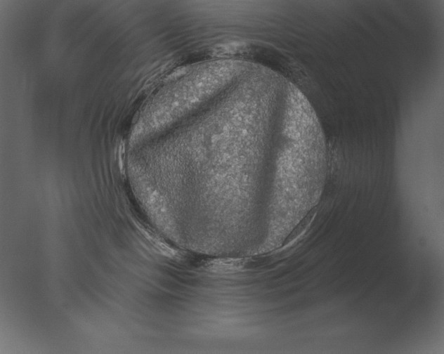 X0000076350094200610201811