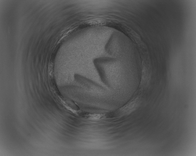 X0000076350096200610201811