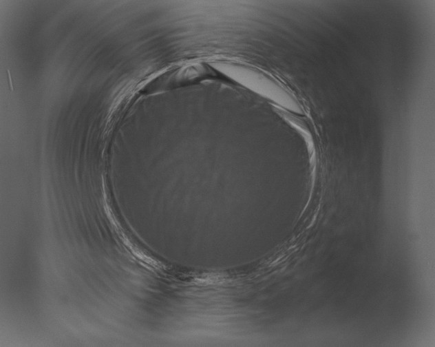 X0000076350097200610201811