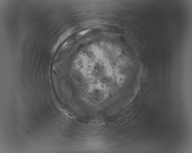 X0000076350099200610201811