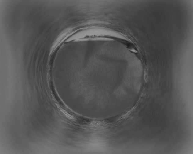 X0000076350101200610201811