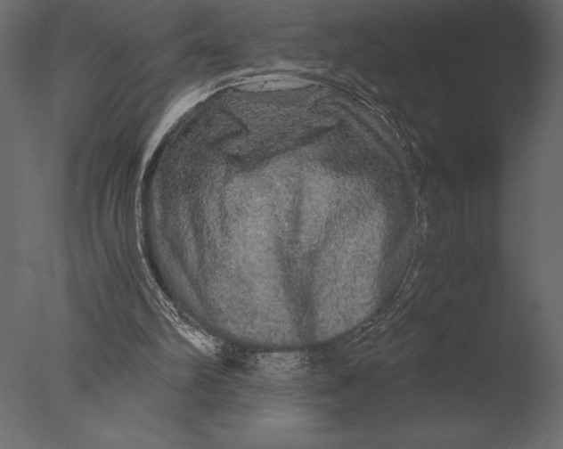 X0000076350102200610201811