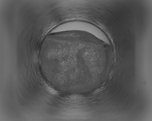 X0000076350105200610201811