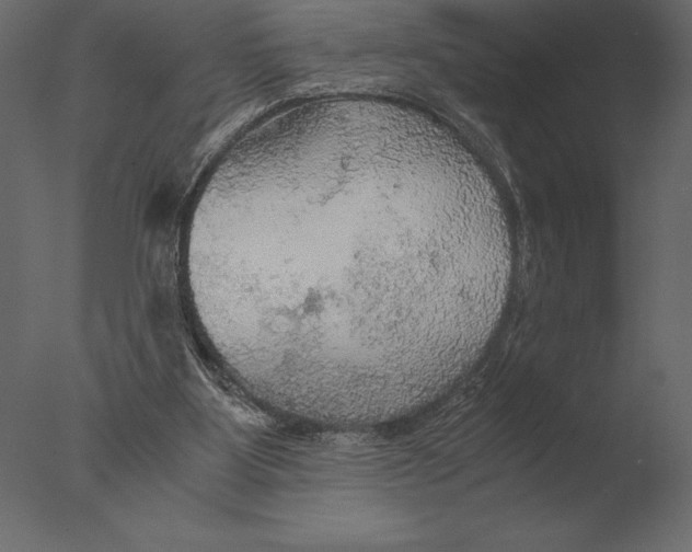 X0000076350107200610201810