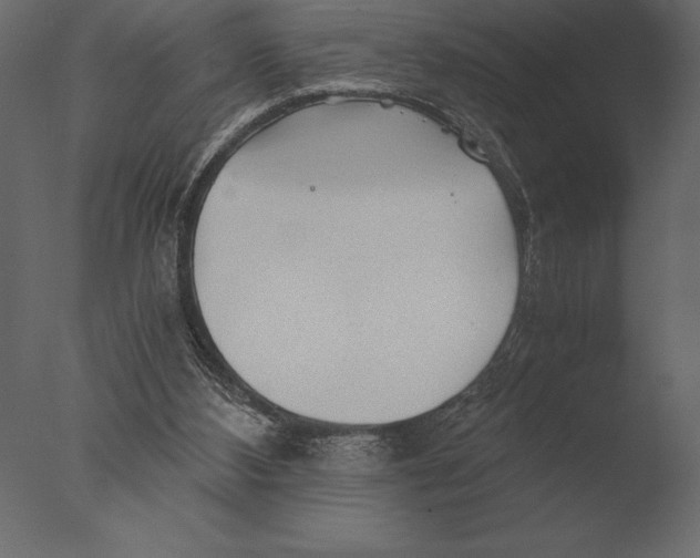 X0000076350108200610201810