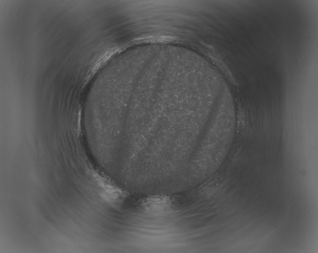 X0000076350110200610201810