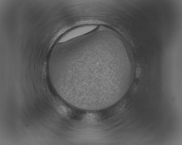 X0000076350111200610201810