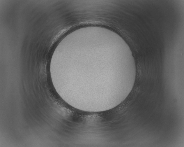 X0000076350112200610201810