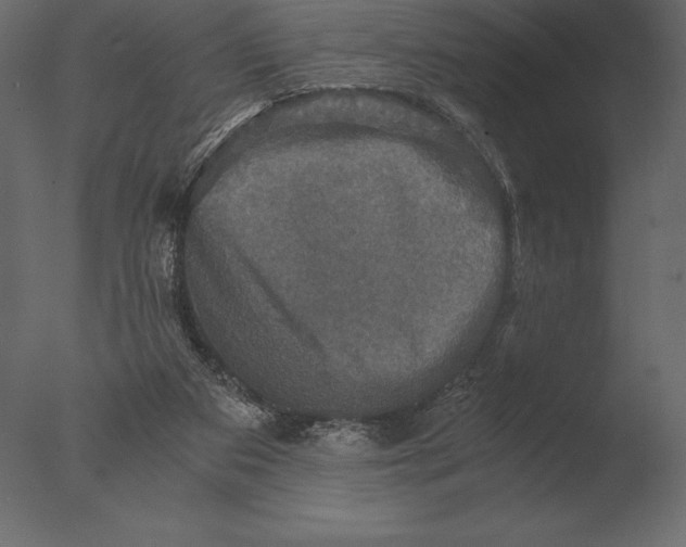 X0000076350113200610201810