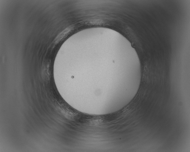 X0000076350116200610201810