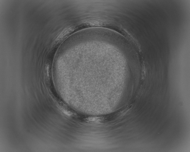 X0000076350117200610201810