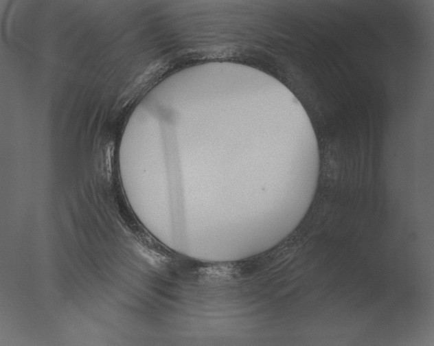 X0000076350118200610201810