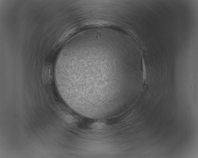 X0000076350119200610201810