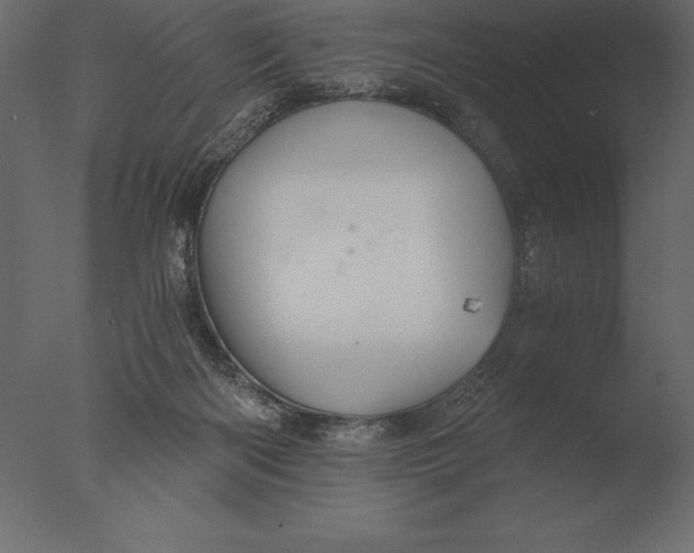 X0000076350122200610201810