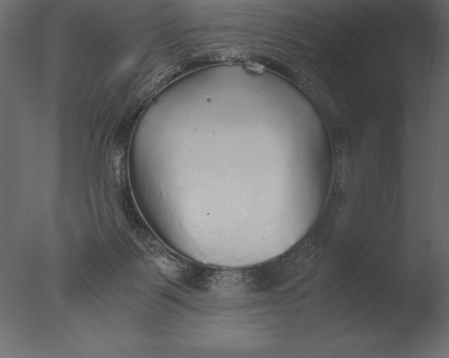 X0000076350123200610201810