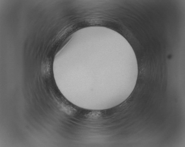 X0000076350124200610201810