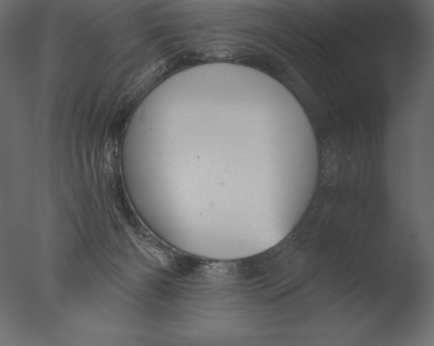 X0000076350126200610201810