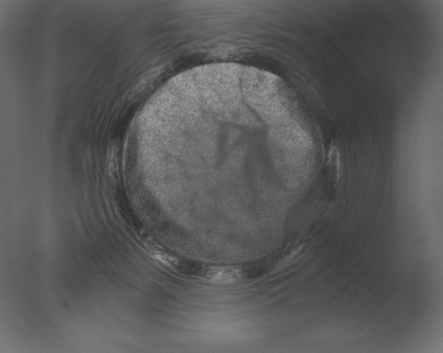 X0000076350127200610201810